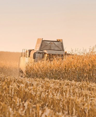 ITB-Baskani-Kestelli8217den-Enerji-Soku-ve-Ekonomik-Risk-Uyarisi-featured