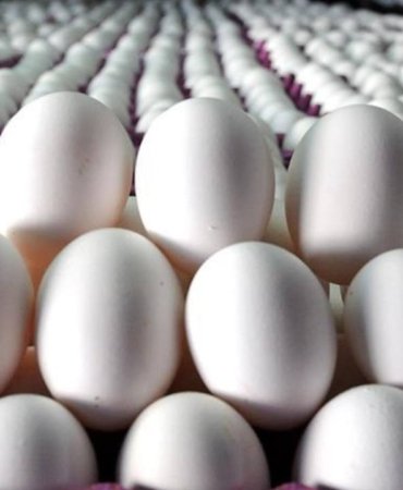 Ihracat-kotasi-5-kat-artti-Yumurtada-fiyat-artacak-korkusu-basladi-featured