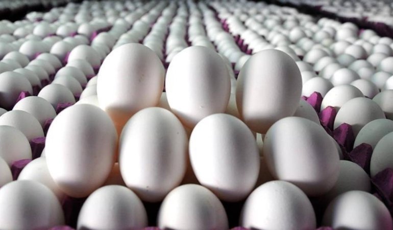 Ihracat-kotasi-5-kat-artti-Yumurtada-fiyat-artacak-korkusu-basladi-featured