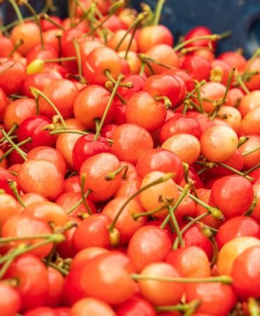 Ilk-kez-tezgaha-cikti-Kilosu-6-bin-TL039den-satildi-featured