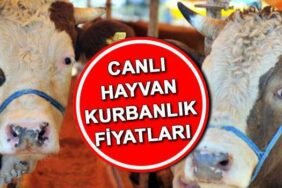 KURBANLIK-FIYATLARI-CANLI-HAYVAN-KILO-FIYATI-2026-Koc-dana-koyun-kg-fiyatlari-Diyanet-2026-vekaletle-kurban-kesim-bedeli-be-featured