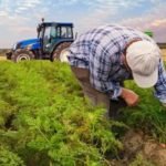 Kirsala-dev-destek-327-milyar-liralik-yatirim-yuz-binlerce-kisiye-istihdam-featured