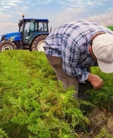 Kirsala-dev-destek-327-milyar-liralik-yatirim-yuz-binlerce-kisiye-istihdam-featured