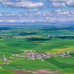 Kuraklik-bitti-umut-buyudu-Bugdayda-verim-artisi-bekleniyor-featured