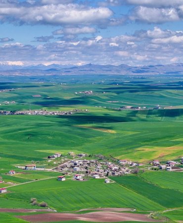 Kuraklik-bitti-umut-buyudu-Bugdayda-verim-artisi-bekleniyor-featured