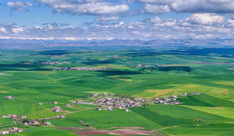 Kuraklik-bitti-umut-buyudu-Bugdayda-verim-artisi-bekleniyor-featured