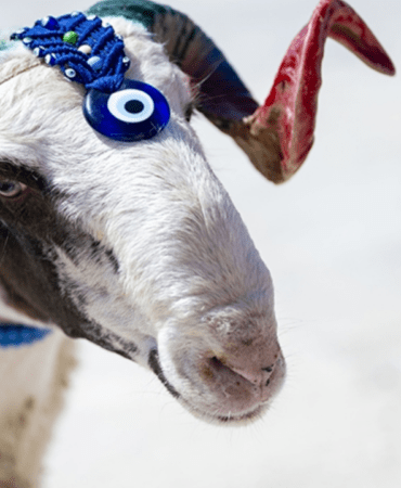 Kurban-Bayrami-2026-Tarihleri-ve-Tatil-Beklentisi-featured