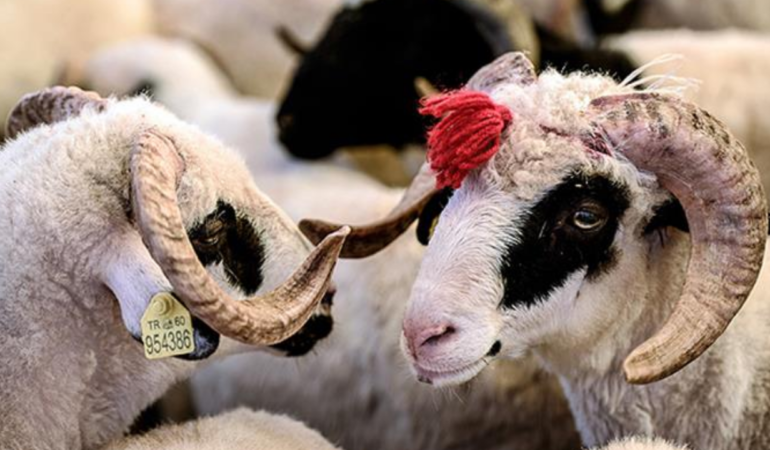 Kurban-Bayrami-oncesi-tebligi-yayimlandi-Cezalar-artti-denetim-sertlesti-featured