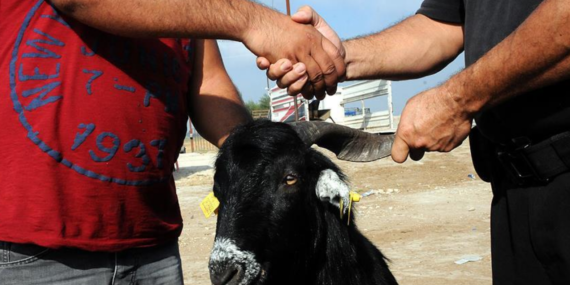 Kurban Bayramı tatil süresi uzatıldı mı? Bayram tatili 9 gün oldu mu?