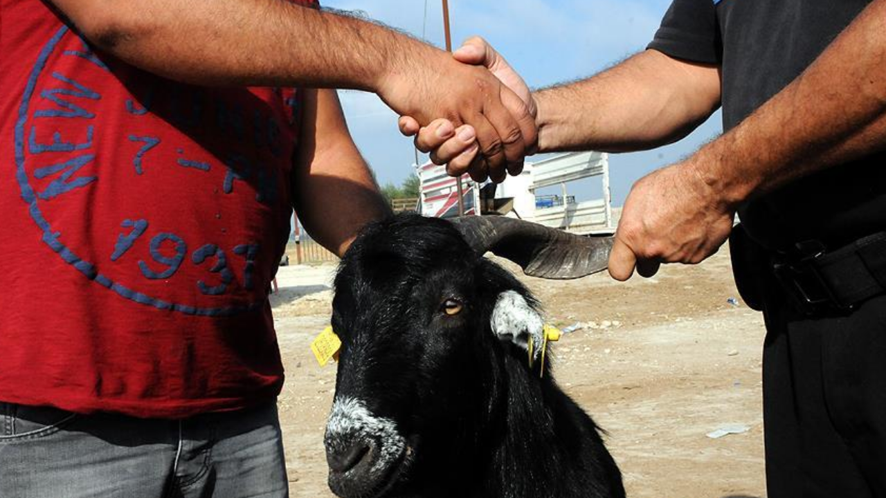 Kurban-Bayrami-tatil-suresi-uzatildi-mi-Bayram-tatili-9-gun-oldu-mu-featured