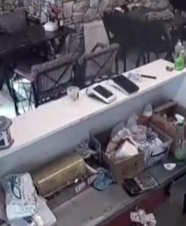 Kutahya8217da-4.88217lik-Deprem-Kamerada-featured