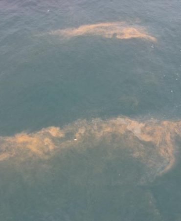 Marmarada-tedirgin-eden-goruntu-Deniz-renk-degistirdi-featured