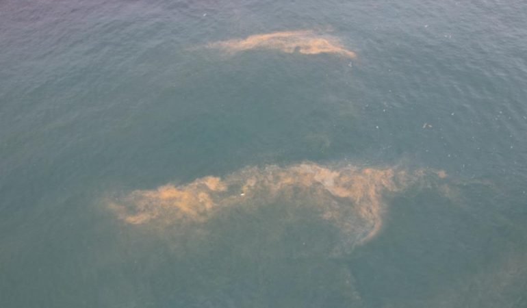 Marmarada-tedirgin-eden-goruntu-Deniz-renk-degistirdi-featured