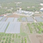 Mersinden-katma-degerli-yerli-urun-hamlesi-featured