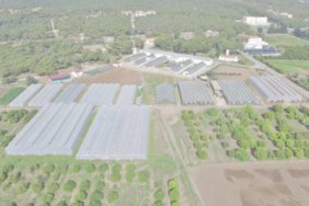 Mersinden-katma-degerli-yerli-urun-hamlesi-featured