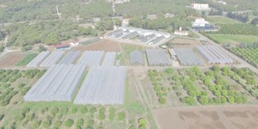 Mersin’den katma değerli yerli ürün hamlesi 7 Mersinden-katma-degerli-yerli-urun-hamlesi-featured