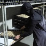 Sera-Fermaniyla-Kadin-Girisimci-Bolgenin-Lideri-Oldu-featured