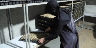 Sera-Fermaniyla-Kadin-Girisimci-Bolgenin-Lideri-Oldu-featured