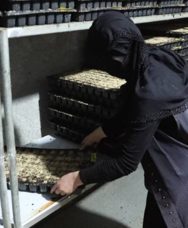 Sera-Fermaniyla-Kadin-Girisimci-Bolgenin-Lideri-Oldu-featured