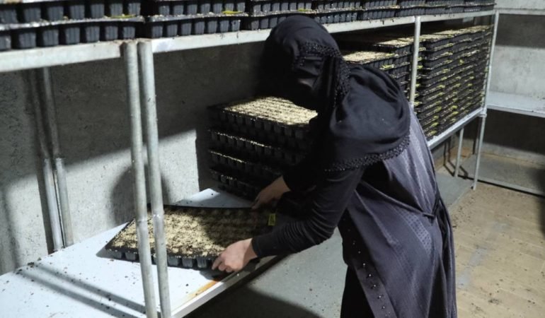 Sera-Fermaniyla-Kadin-Girisimci-Bolgenin-Lideri-Oldu-featured