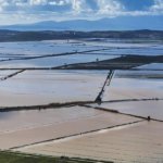 Tarim-sezonunun-ilk-yarisinda-yagis-rekoru-38-yilin-en-yuksek-seviyesi-featured