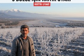 Tarimda-Zirai-Don-Tehlikesi-3-Bolge-Icin-Kritik-Uyari-gemini