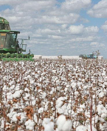 Tekstil-sektoru-quotHurmuz-gerilimiquot-nedeniyle-sentetik-yerine-dogal-pamuga-yoneldi-featured