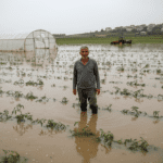 Torbalida-Saganak-ve-Taskin-Tarim-Arazileri-Sular-Altinda-gemini