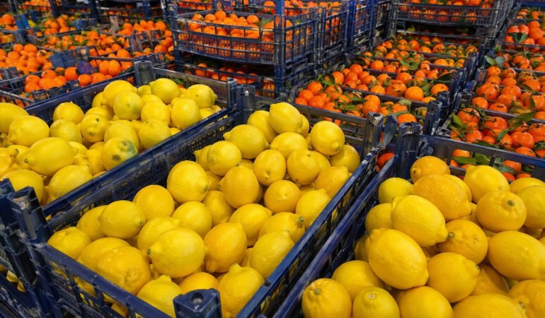 Turkiye039nin-turuncgil-ihracati-basarisi-Mandalina-Iraka-limon-Rusyaya-gitti-featured