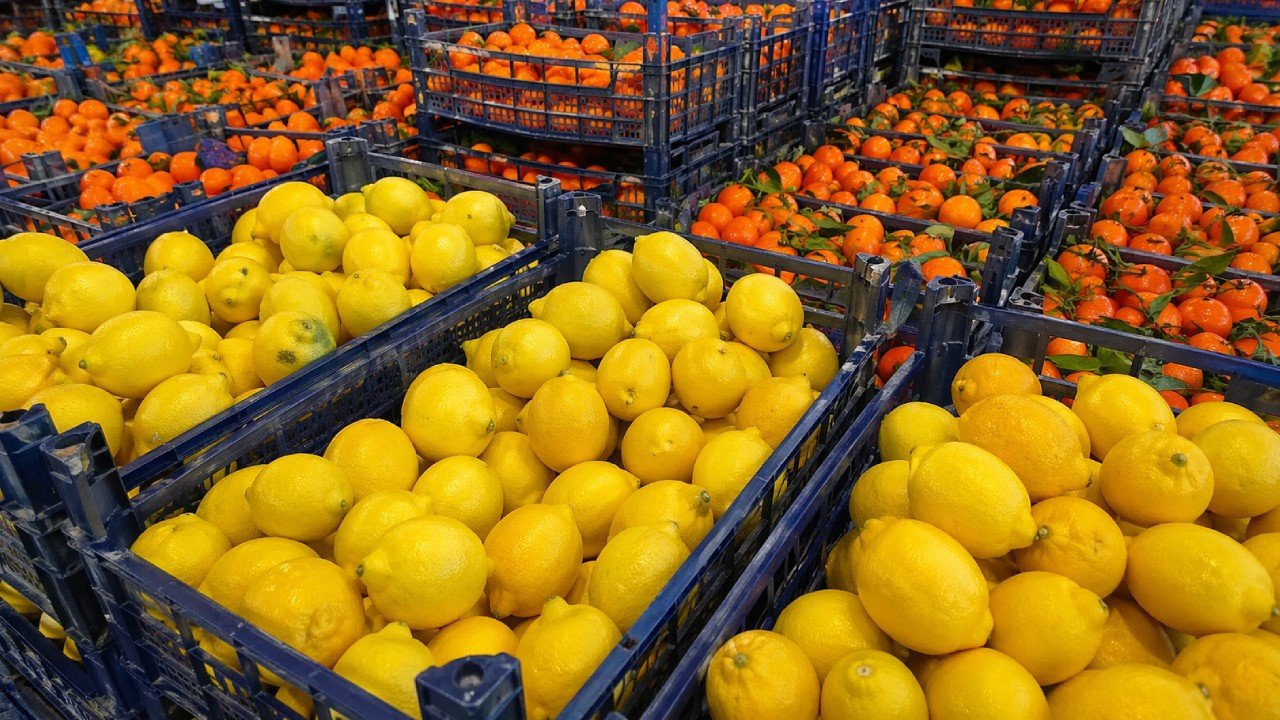 Turkiye039nin-turuncgil-ihracati-basarisi-Mandalina-Iraka-limon-Rusyaya-gitti-featured