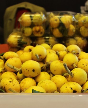 Turkiyeden-ABde-cografi-isaret-atagi-46-urun-tescillendi-featured