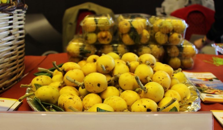 Turkiyeden-ABde-cografi-isaret-atagi-46-urun-tescillendi-featured