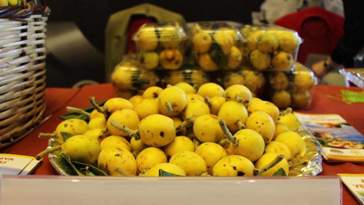 Turkiyeden-ABde-cografi-isaret-atagi-46-urun-tescillendi-featured