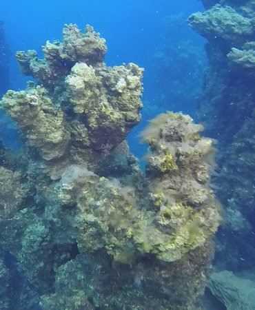 Van-Golunun-‘su-alti-peribacalari-Guinness-yolunda-featured