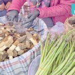 Yesiluzumlude-kuzugobegi-featured