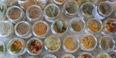 Ata-tohumlari-iklim-krizine-karsi-umut-oldu-featured