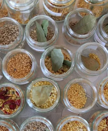 Ata-tohumlari-iklim-krizine-karsi-umut-oldu-featured