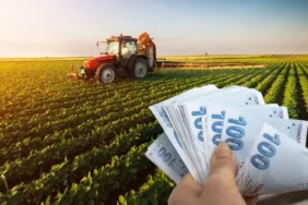 Ciftcilere-ilk-ceyrekte-356-milyar-liralik-destek-odemesi-yapildi-featured