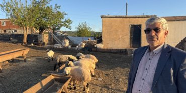 Diyarbakir8217da-Binlerce-Koyunla-Yayla-Gocu-Basladi-featured