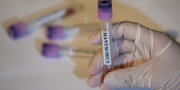 Hantavirus-Turkiye039de-goruldu-mu-vaka-sayisi-kac-oldu-Hantavirus-insandan-bulasir-mi-oldurur-mu-featured