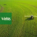 Hektaş (HEKTS) 13 bedelsiz sermaye artırımı yaptı 10 Hektas-HEKTS-13-bedelsiz-sermaye-artirimi-yapti-featured