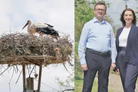 IC-Holdingden-Biyocesitlilige-Odakli-Cevresel-Etki-Serisi-featured