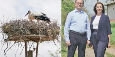 IC-Holdingden-Biyocesitlilige-Odakli-Cevresel-Etki-Serisi-featured