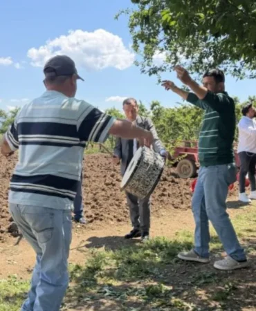 İznik Erik Rekoltesi Dört Katına Çıktı 2 Iznik-Erik-Rekoltesi-Dort-Katina-Cikti-featured