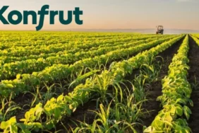 KNFRT-Konfrut-Tarim8217dan-Kar-Dagitimi-Yok-Karari-featured