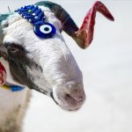Kurban-Bayrami-Tatili-9-Gun-Olma-Ihtimali-ve-Bakan-Ersoy8217un-Aciklamasi-featured
