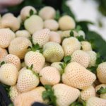 Yapay-Zeka-Destekli-Cilek-Dunya-Pazarinda-featured