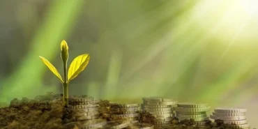 Yesil-Ekonomi-Icin-Kadin-Gucunun-Onemi-Artiyor-featured
