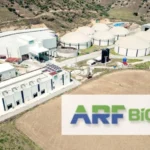 ARFYE-2025-Zarari-Temettu-Odemesini-Engelledi-featured