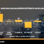 Buyume-Bilesenleri-Tuketim-ve-Yatirimin-Katkisi-Analizi-featured